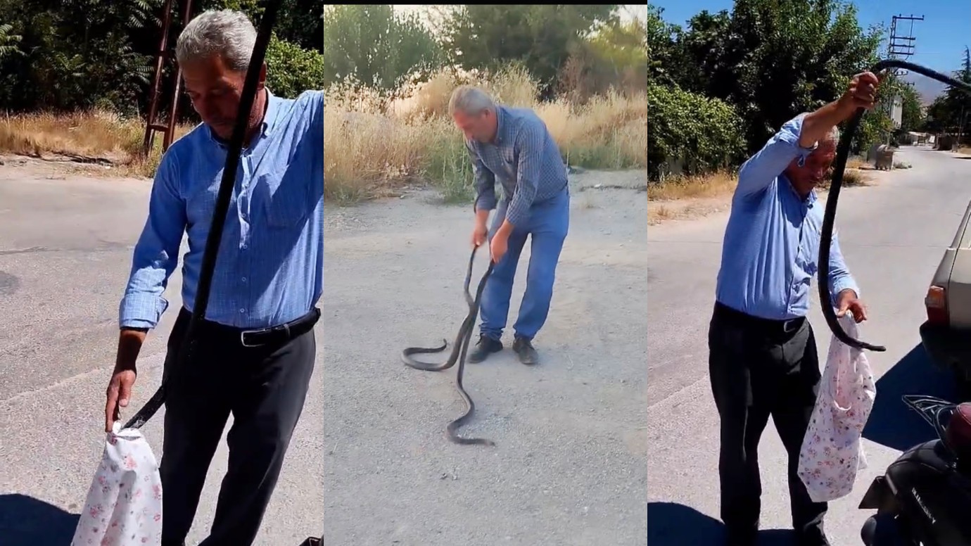 Malatya’nın “yılan savar” muhtarı bu kez iki dev kara yılanı yakaladı