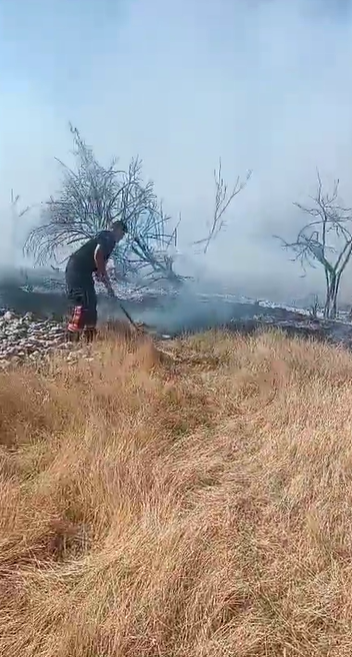 Kayısı araştırma alanı arkasında yangın