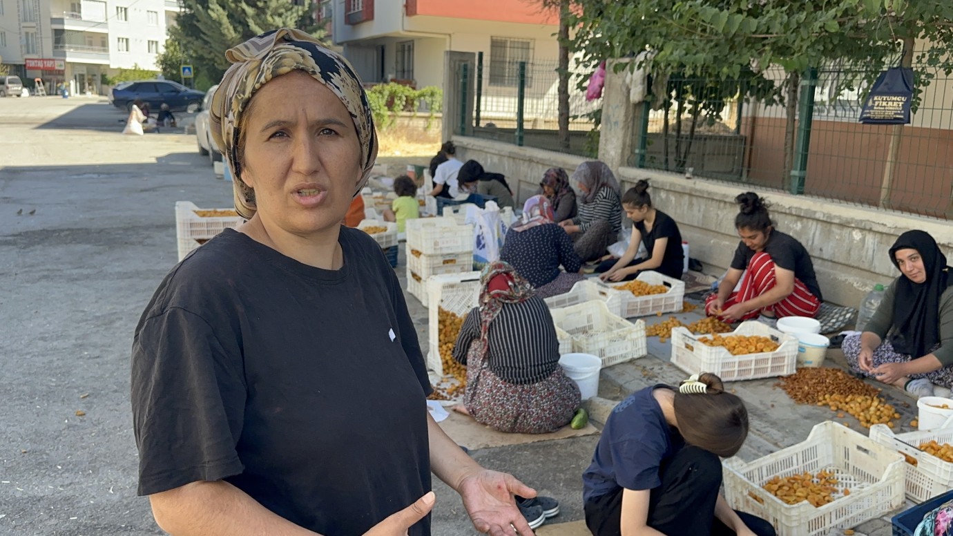 Sezon başladı tartışma da başladı | Kayısı mesaisine zabıta engeli!