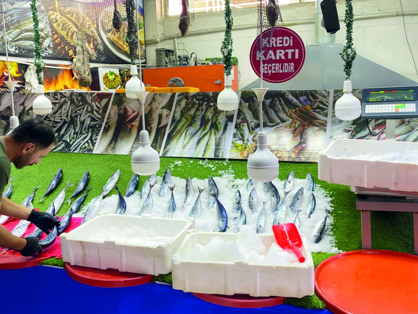 Balık Pazarında Fiyatlar Sabit, Talep Palamut ve Somonda