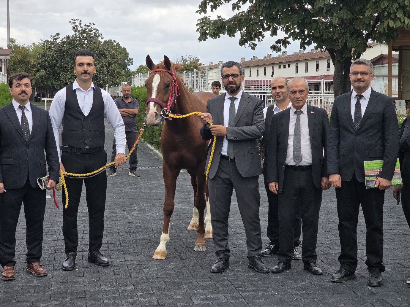 Sultansuyu tayları için milyonlar yarıştı