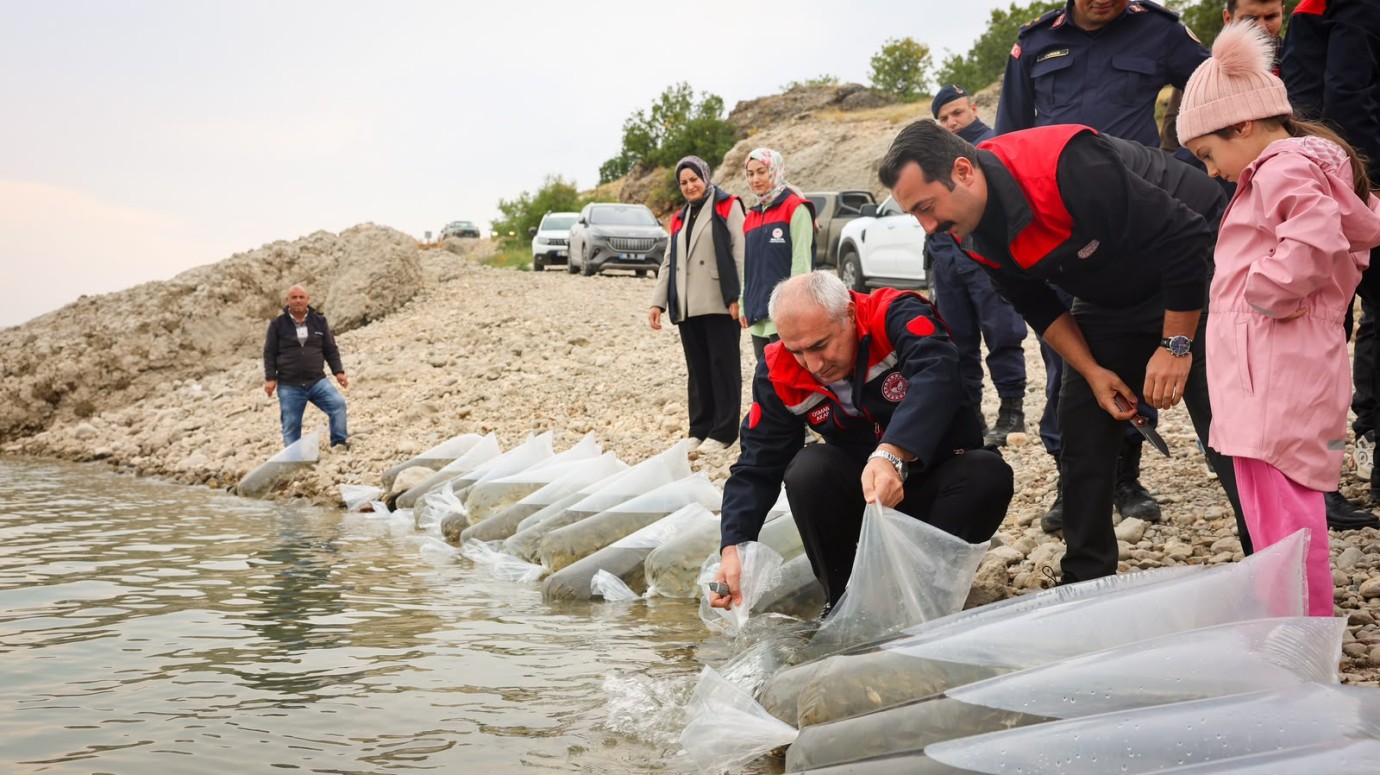 1 milyon 300 bin sazan yavrusu suya bırakıldı