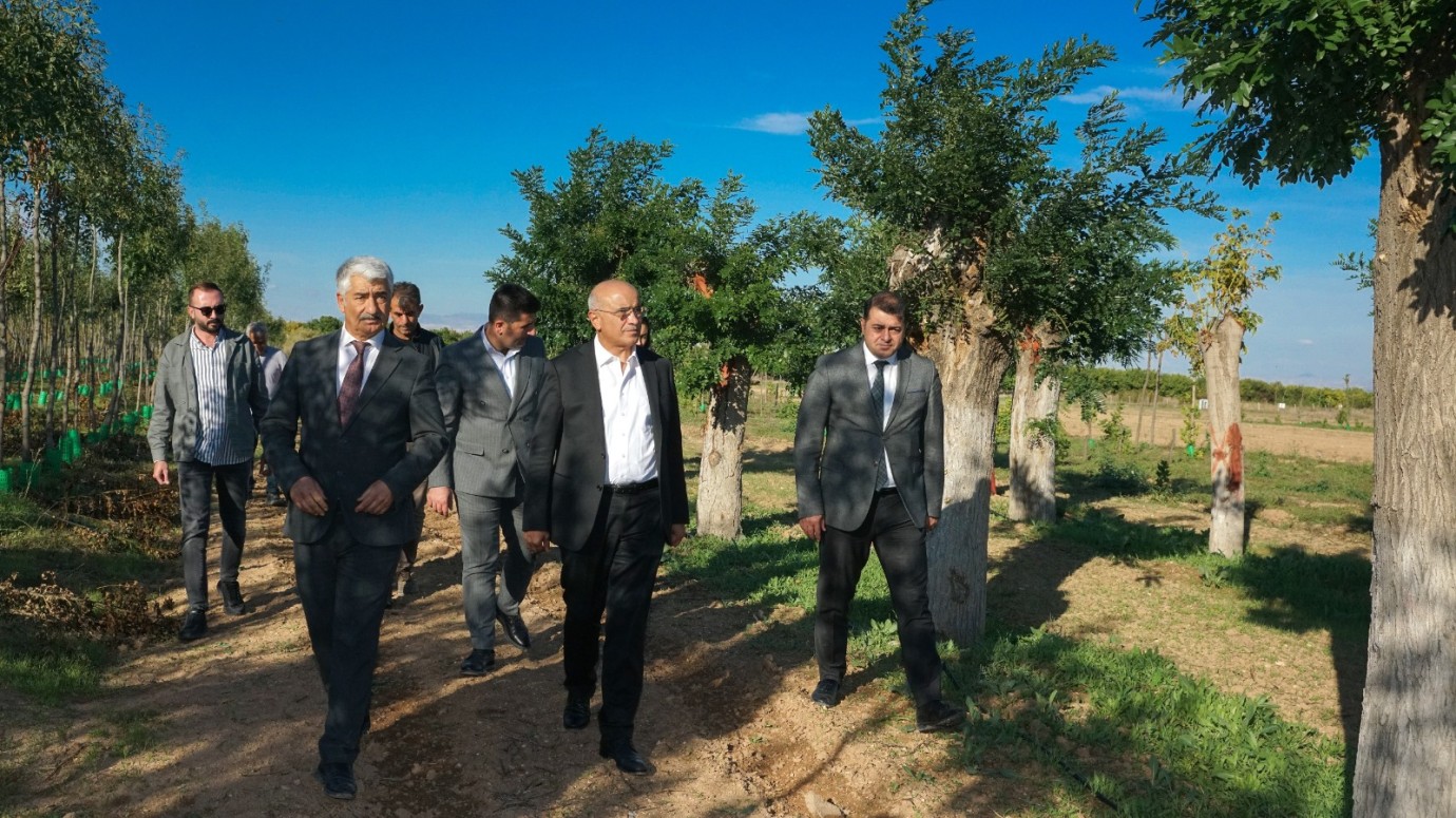 Büyükşehir’den yıllık 20 bin fidan, 50 bin metrekare rulo çim üretimi