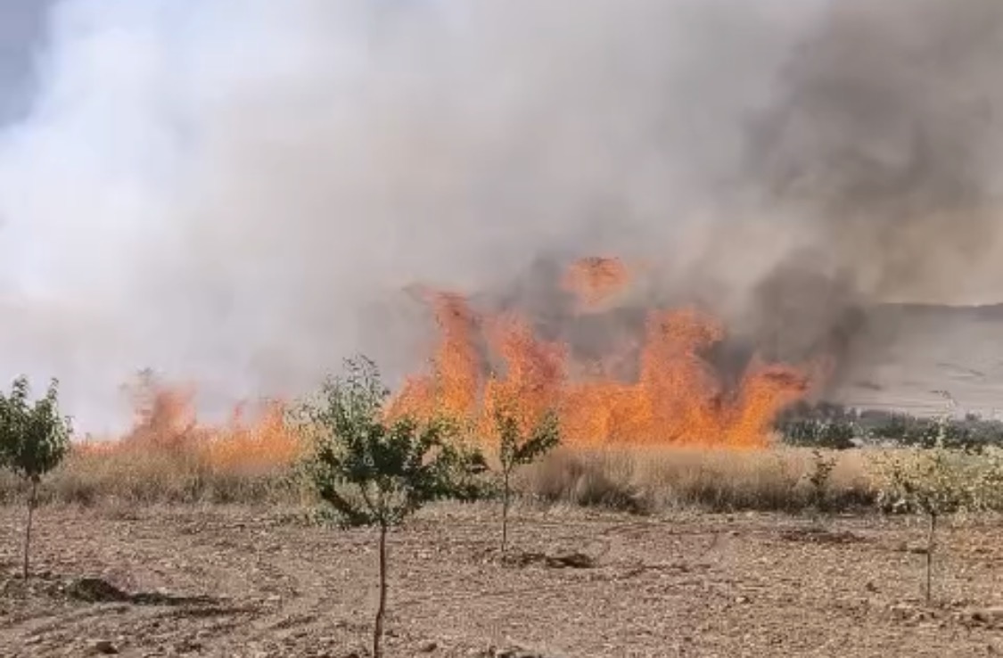 Buğday tarlasında çıkan yangın 30 dönümü küle çevirdi