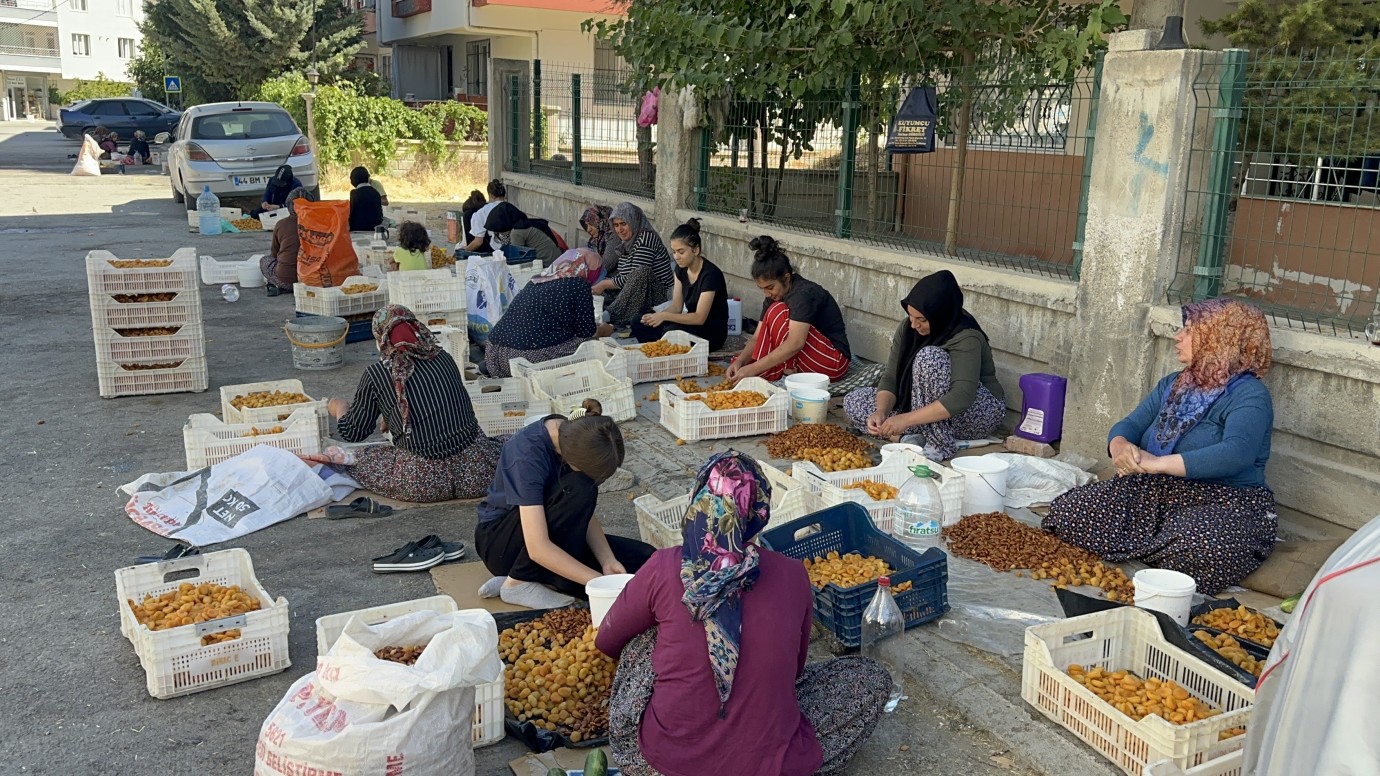 Sezon başladı tartışma da başladı | Kayısı mesaisine zabıta engeli!