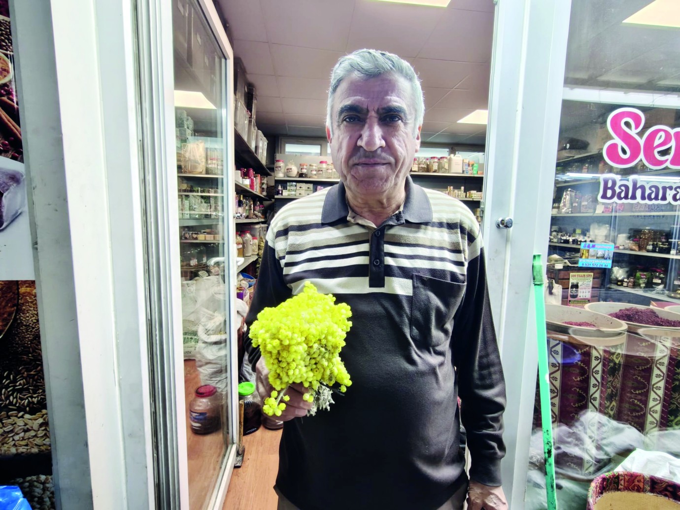 Böbrek Ve İdrar Yolları İçin Altın Otu